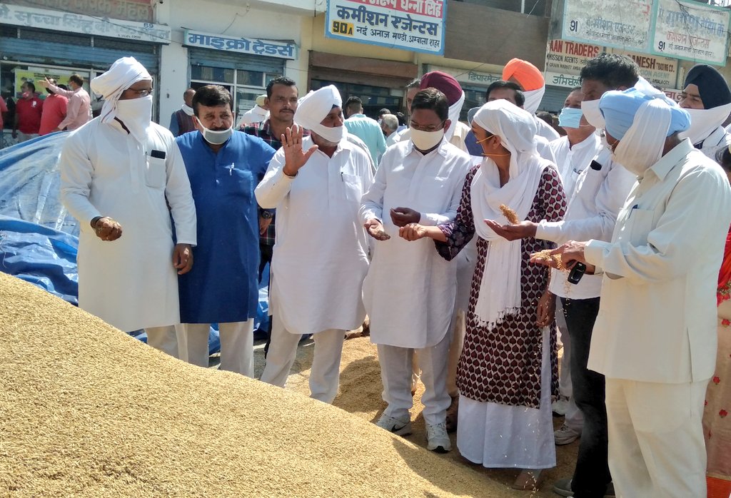 हरियाणा डेमोक्रेटिक फ्रंट किसानों के साथ, 5 अक्टूबर को होगा बड़ा प्रदर्शन- चित्रा सरवारा